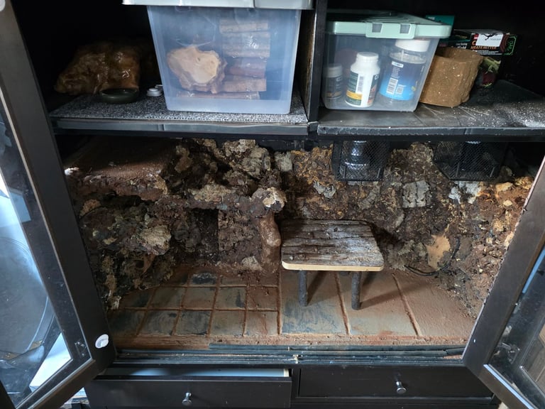 Bespkoke vivarium