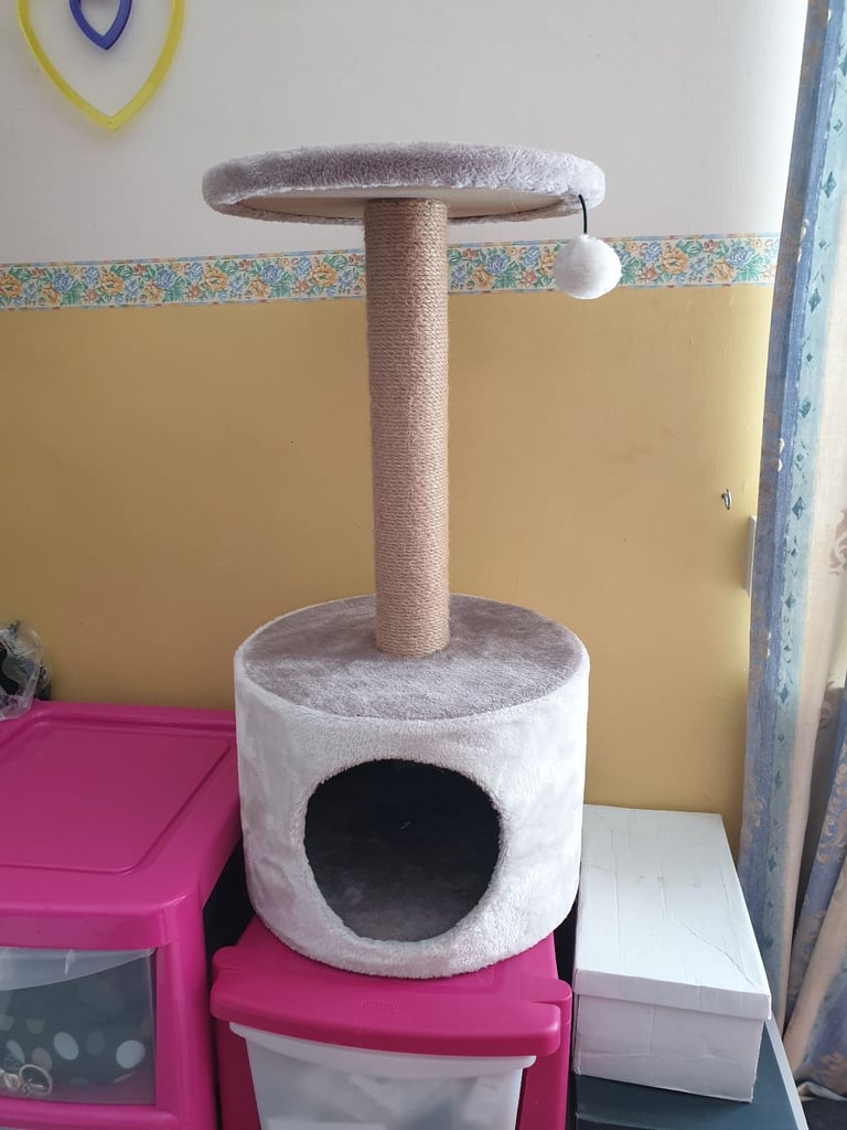 Cat scratching post and small tunnel