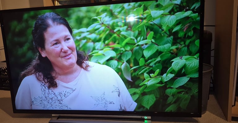 image for Toshiba 43" Television with Freeview 