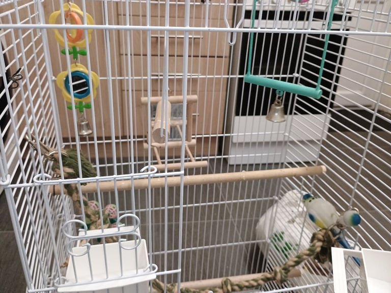 Large Cage parrot/bird