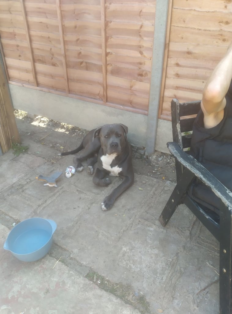 For ever home,s needed