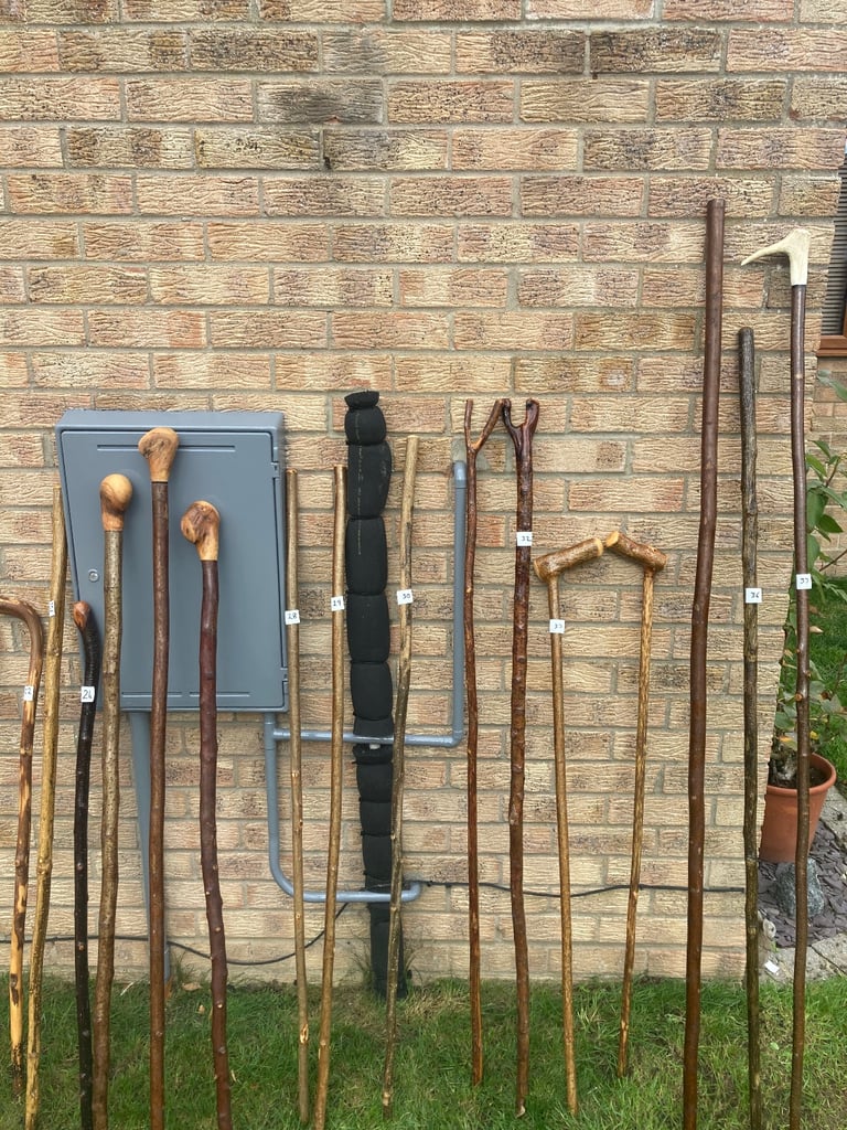 Hiking sticks 