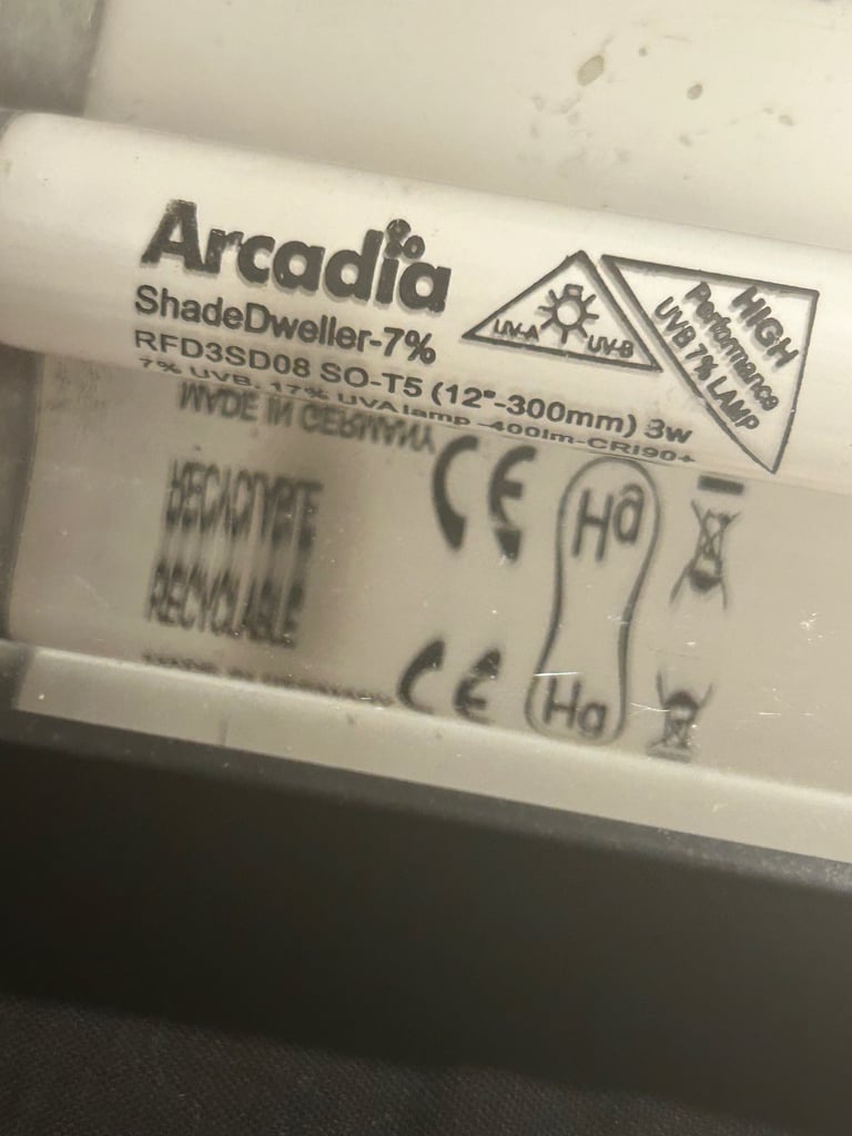 Vivarium with full accessories 