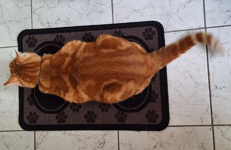 Pet Feeding Mat Washable
