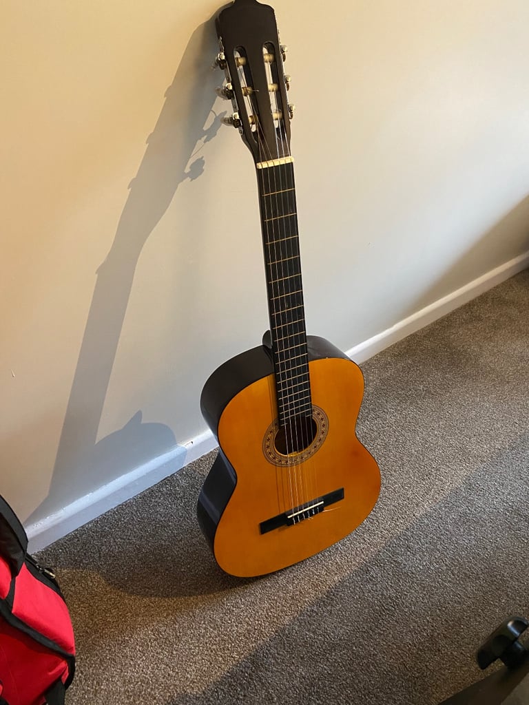 Acoustic guitar with Ritter padded case