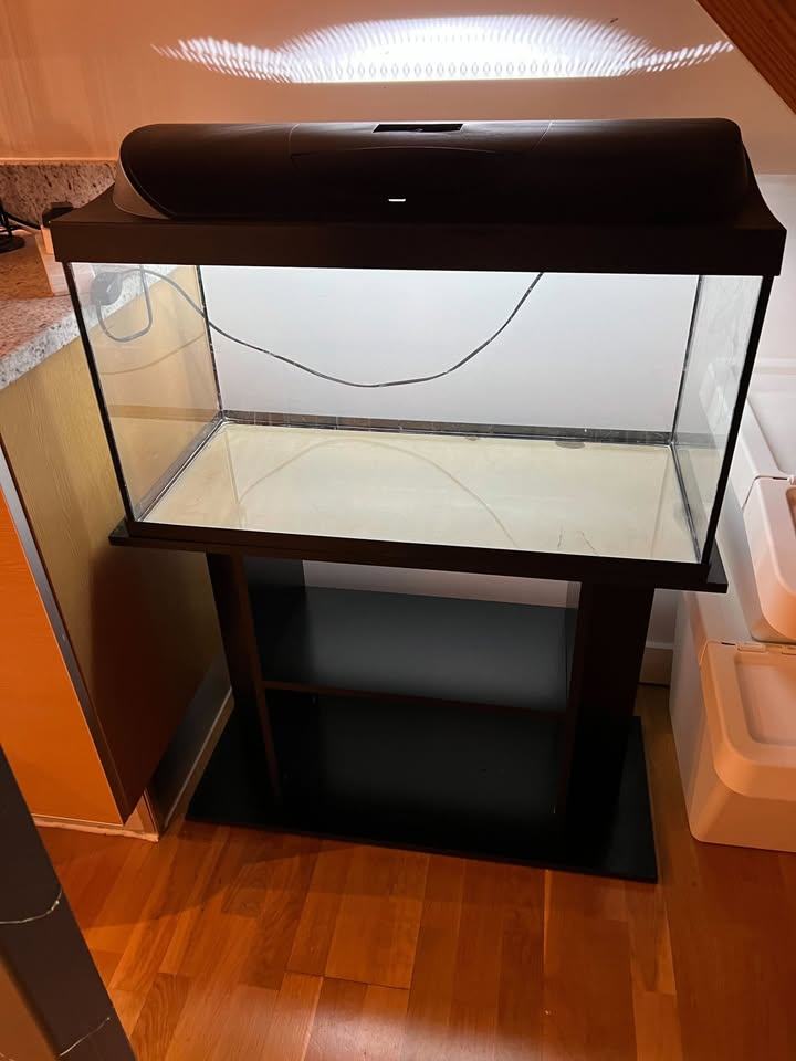 Fish Tank (Rectangle) with Table Stand