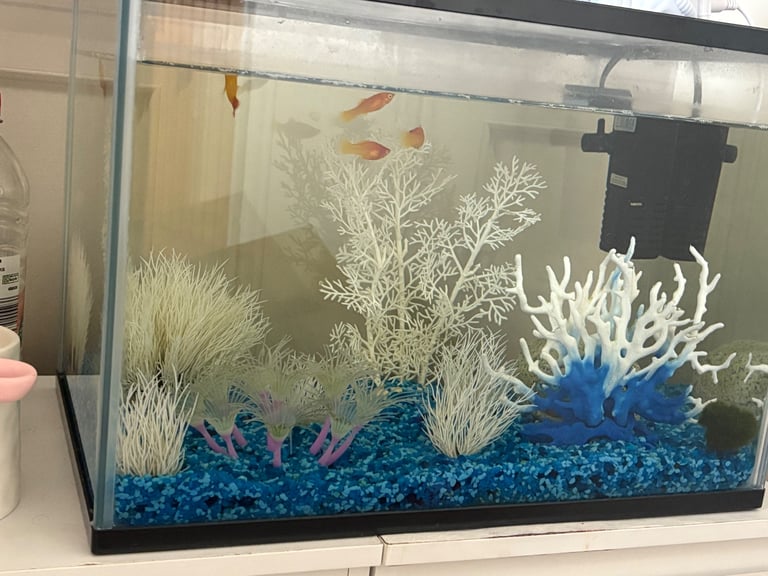 image for Fish tank with fish 