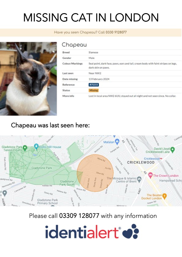 Missing Siamese cat - NW2 Cricklewood