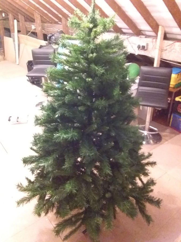 5FT (167)cm Christmas tree new York spruce,
