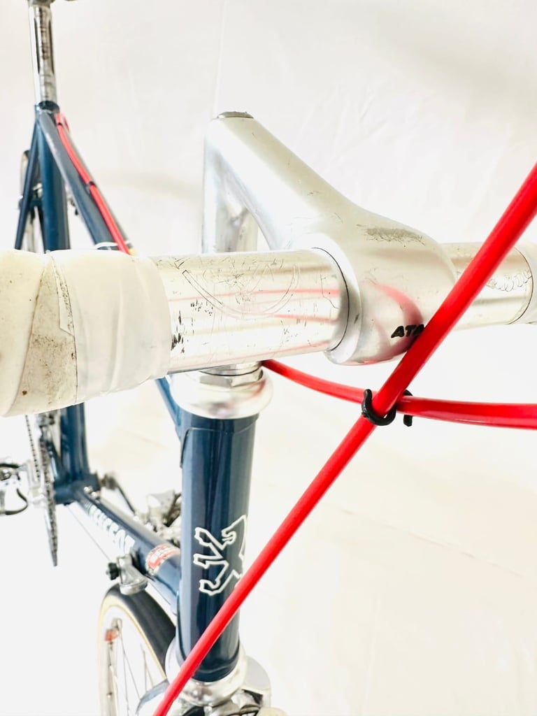 14  Pigeon VITUS Size/58 spDDd9a Original Spec Simplex Road Bike