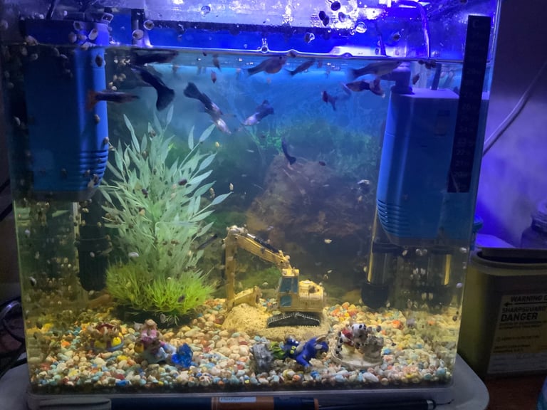 Full tropical fish tank set up with heater tank filters gravel lights plants and more 
