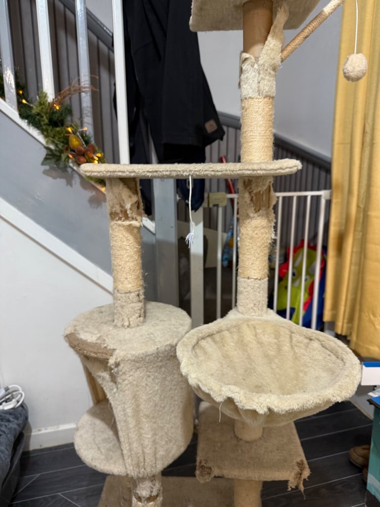 Cat tower 