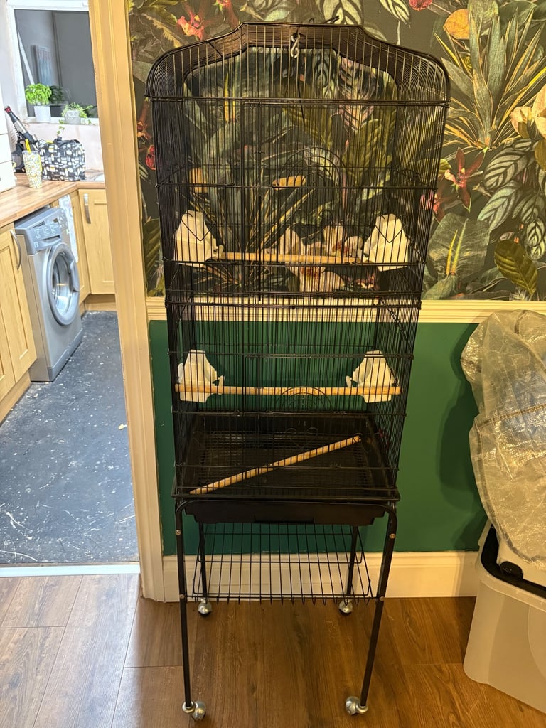 image for Bird cage