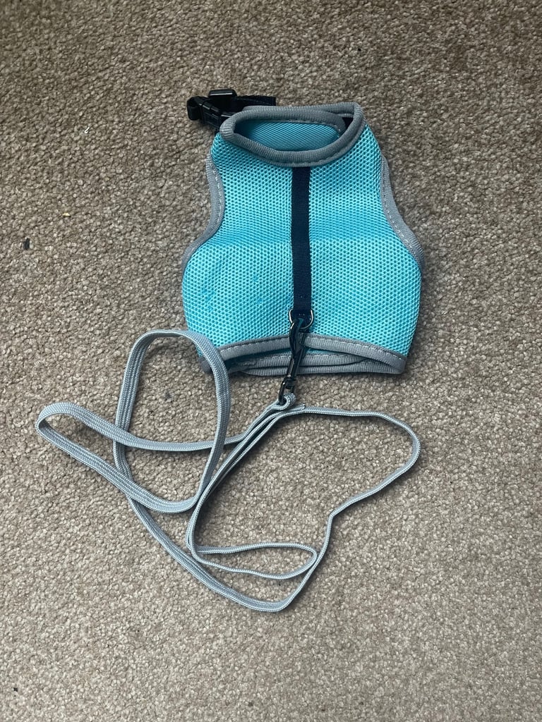 Pet Products 61511 1.20 m Rat Soft Harness with Leash-Nylon, Various, 12-18cm, Small