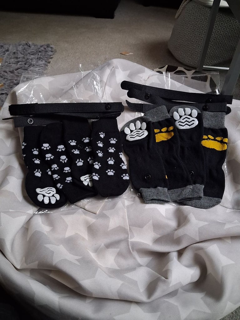Dog unused socks £3 for pack of 4 socks