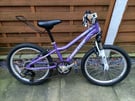 20&quot; bike (West Derby collection)