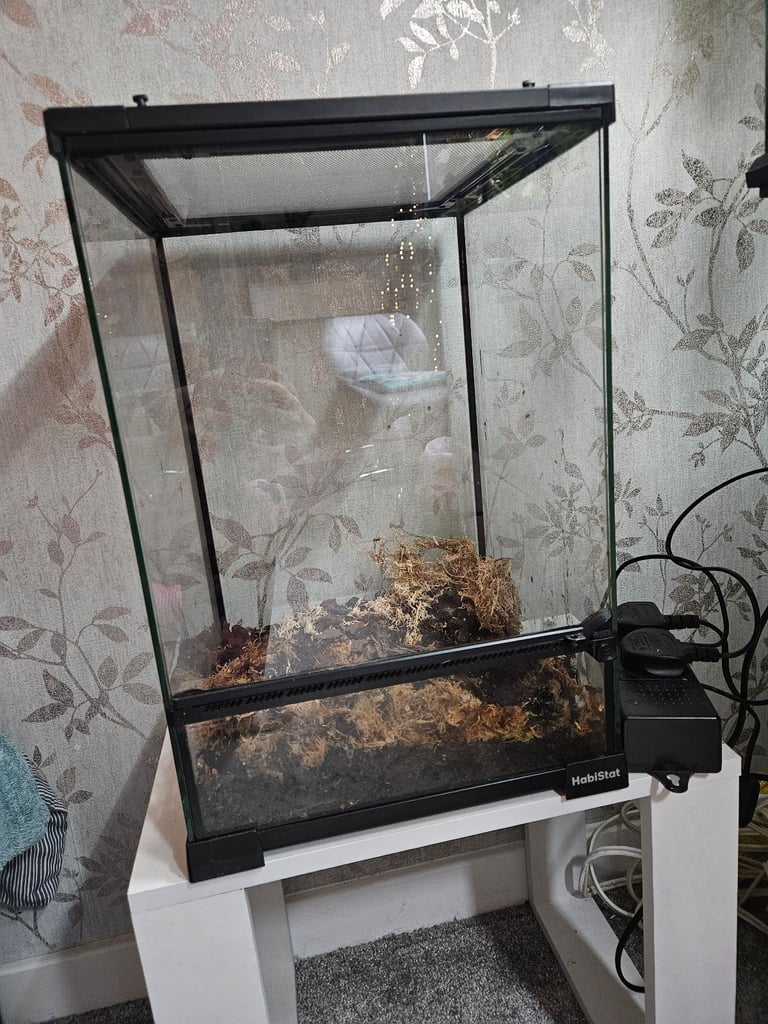 Habistat 30 x 30 x 45 terrarium