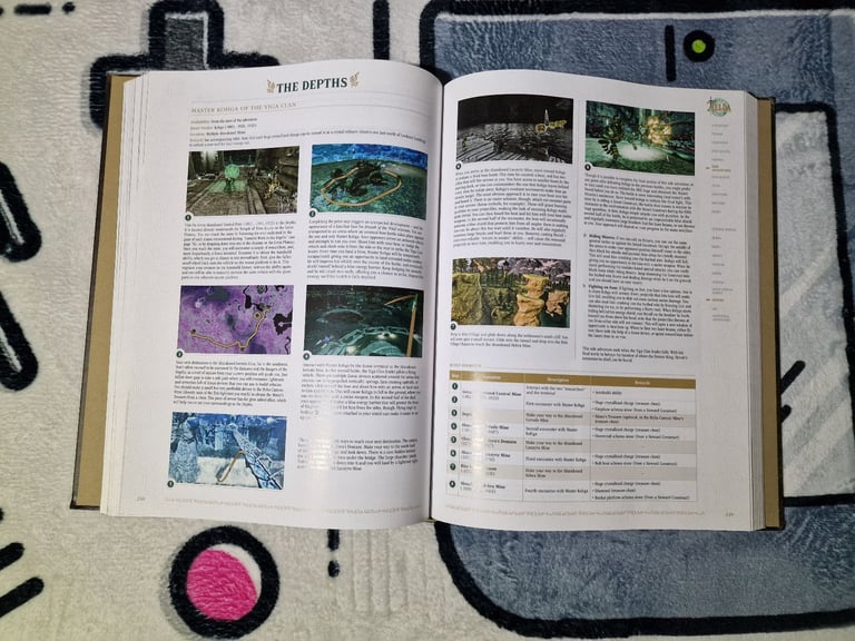 The Legend of Zelda Tear of the Kingdom  collectors edition