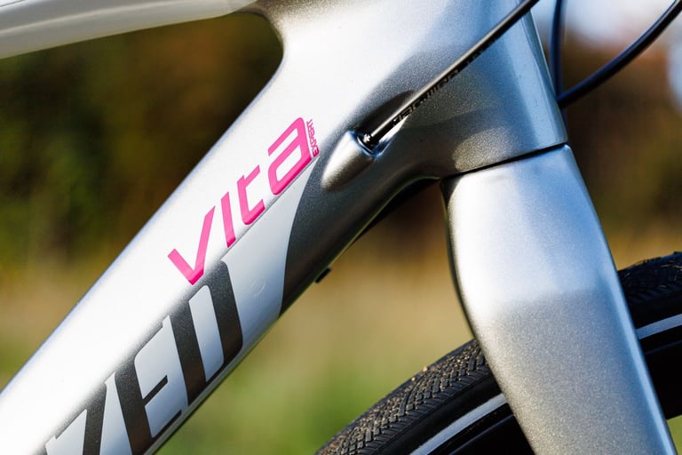 Specialized Vita Expert Full Carbon Hybrid Road Bike Shimano 105