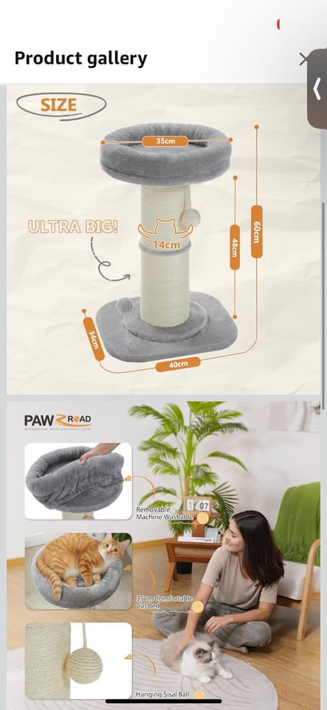 Cat Scratching Post 