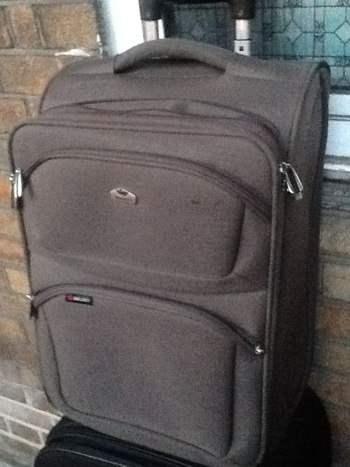 Delsey 'Valaguzza' Trolley Cabin Carry-on Suitcase, Brown