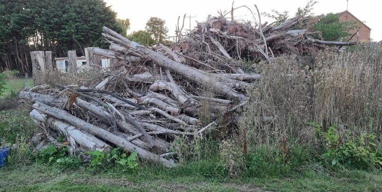 Seasoned Softwood Logs - ready to burn