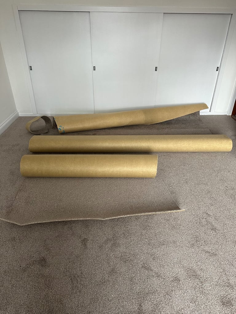 image for New Carpet