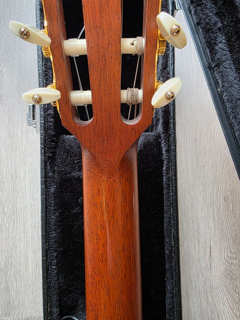 Taylor N32e electric classical guitar.