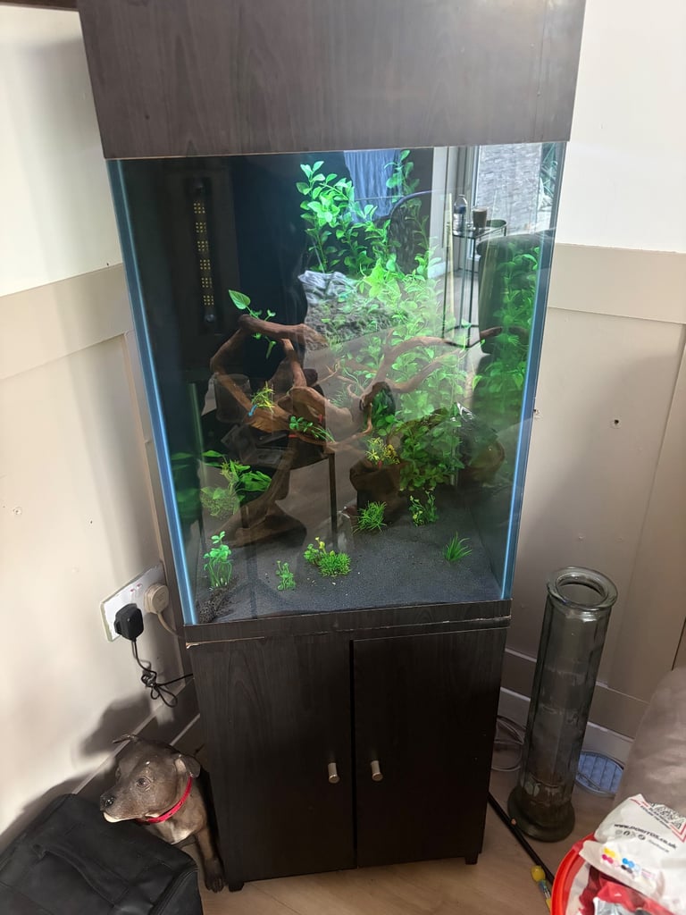 image for Fish tank and L number pelcos 