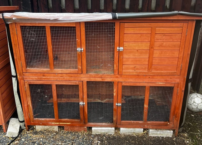 Pet Equipment, Accessories and supplies in Alloa, Clackmannanshire