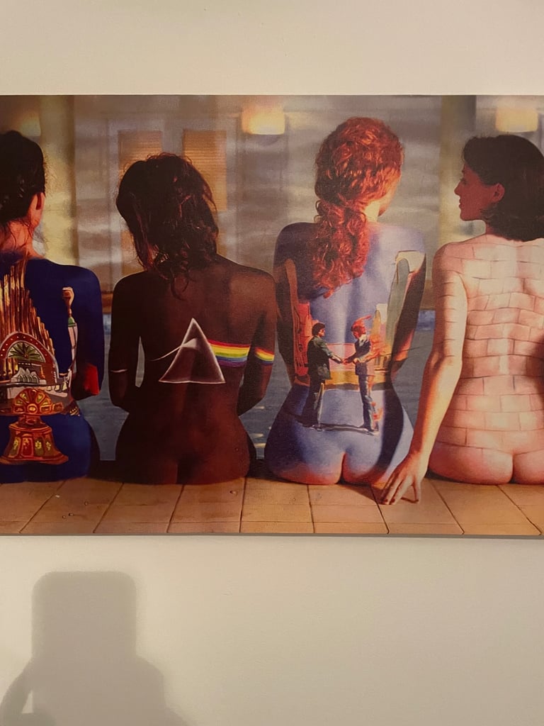 Printed Pink Floyd Canvass