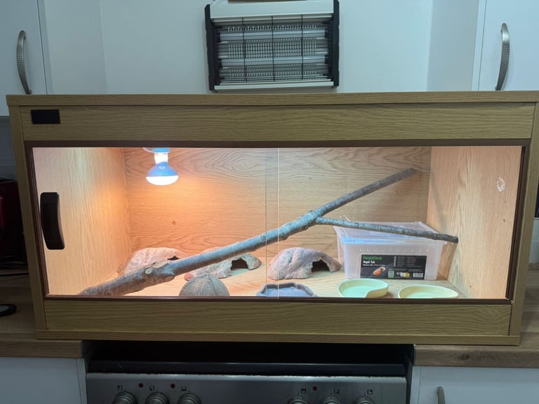 3ft vivarium for sale