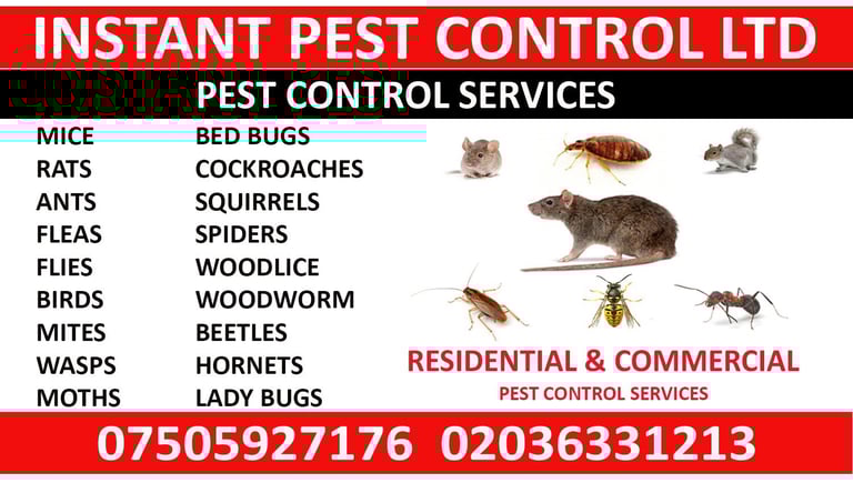 image for 100% Guaranteed Ilford Dagenham Romford Pest Control 24/7 Bedbug Rat Mice Ant Cockroach Flea Mouse