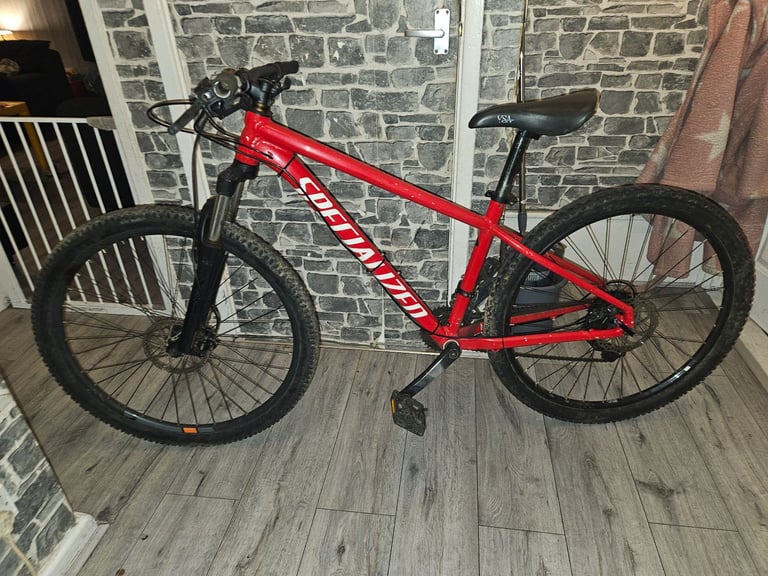 Specialized Rockhopper mountain bike