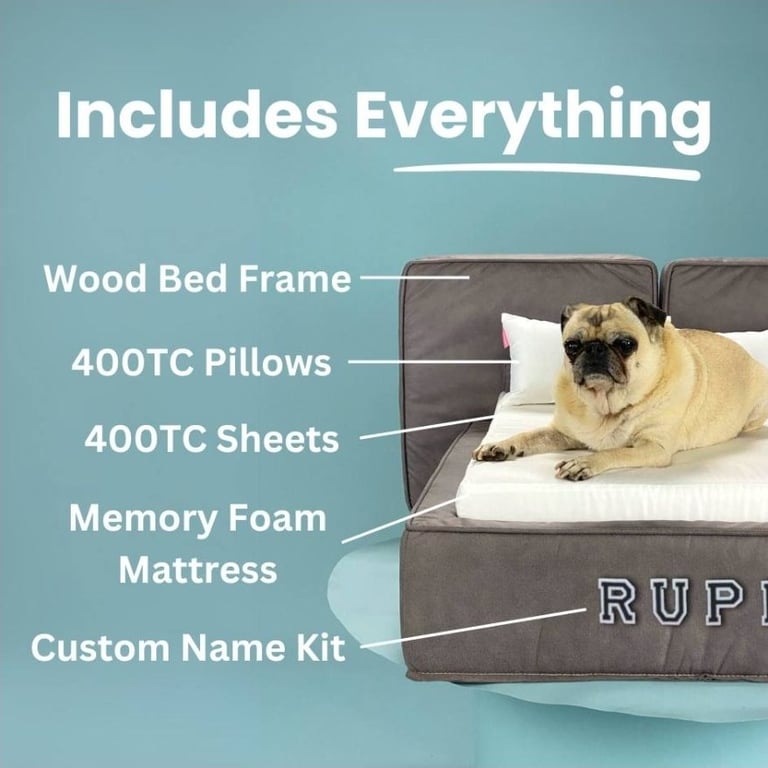Cat dog bed 