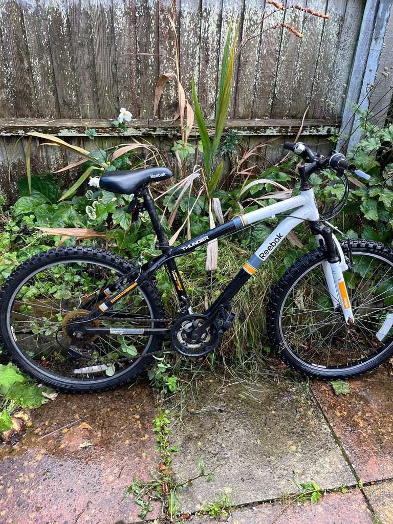 Bikes 