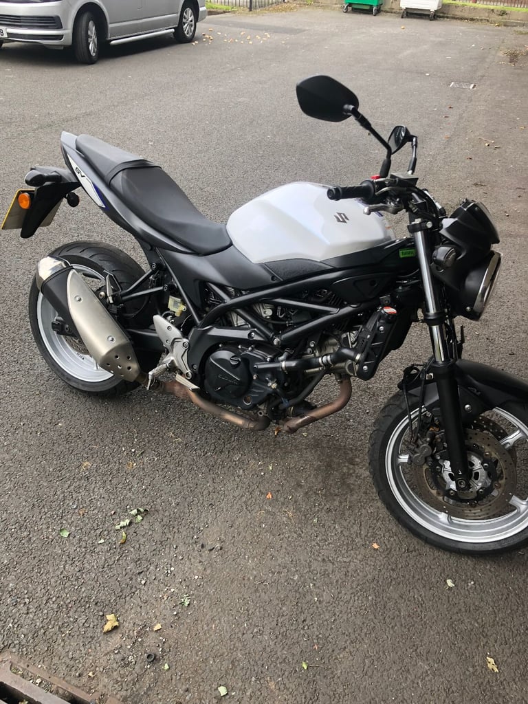 image for Suzuki, SV, 2016, 645 (cc)