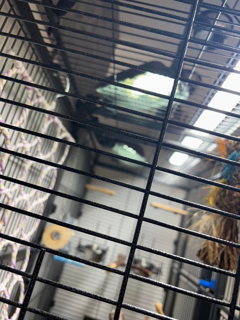 Large Parrot Cage