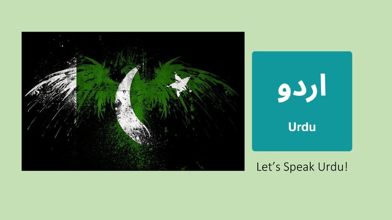 Speak Fluent Urdu - Online 1 to 1 Urdu Lessons