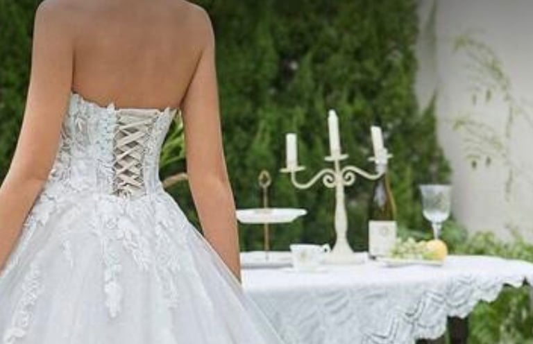 Dream Wedding Dress + Long Veil + Petticoat