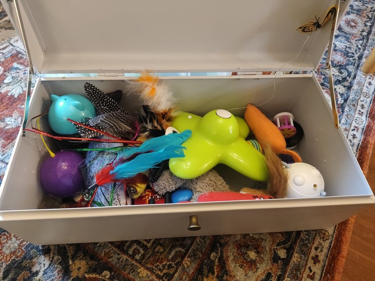 Cat toy assortment