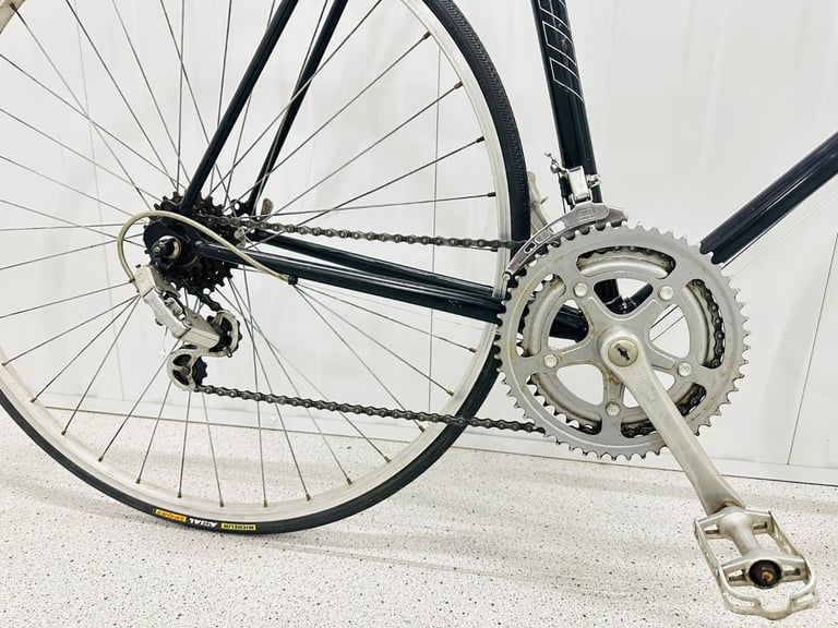 RALEIGH RECORD Size/L Fully Serviced 10 Speed Road Bike WARRANTY   