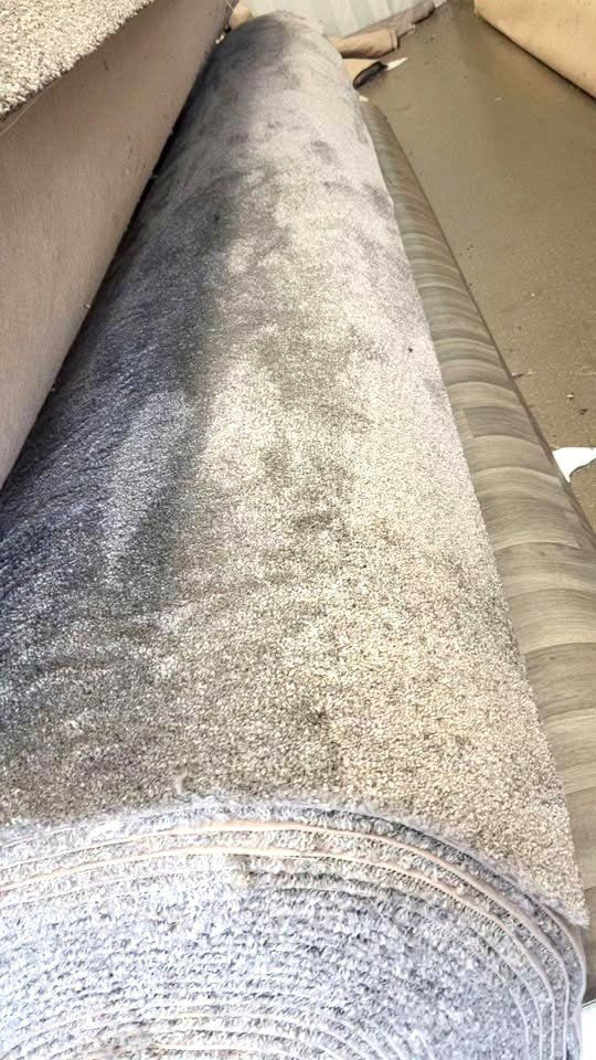 image for 11mm Dual-Tone Grey Carpet | Modern Plush & Hardwearing