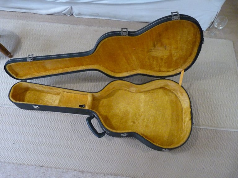 Lined Guitar hard case