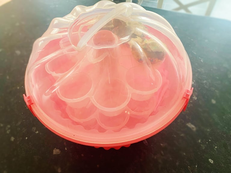 image for Professional Cupcake container 🧁 