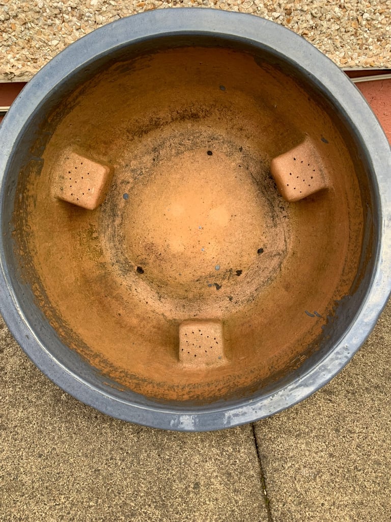 Blue garden plant pot