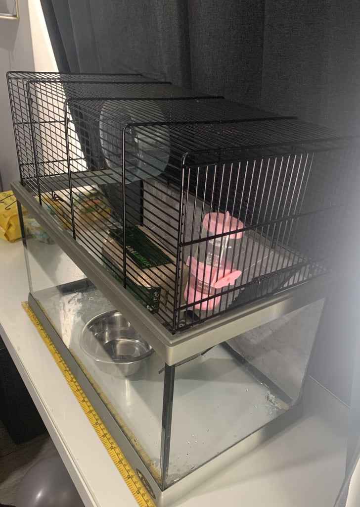 Glass Cage For Rodents 