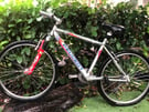 Peugeot adult mountain bike 