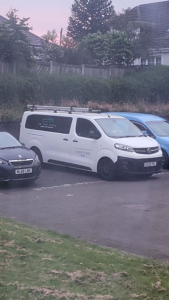 Mobile valeting Vauxhall, VIVARO, Panel Van, 2020, Manual, 1499 (cc)