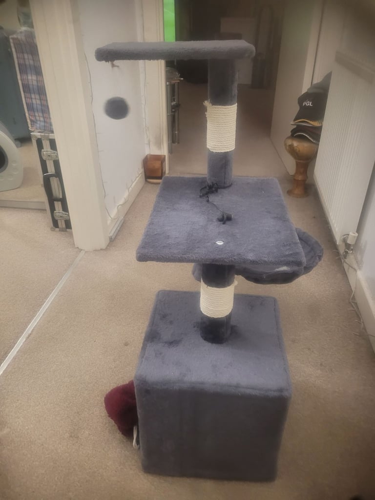 🐾 Complete Cat/Kitten Starter Bundle – Everything You Need! 🐾